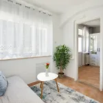 Maras Premium * Porec